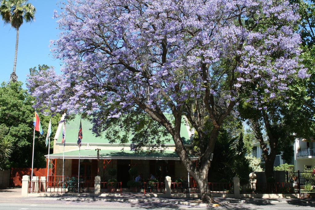 88 Baron Van Reede Guesthouse Oudtshoorn Dış mekan fotoğraf