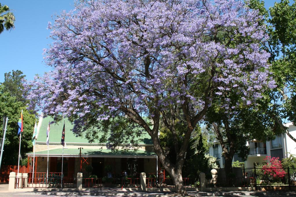 88 Baron Van Reede Guesthouse Oudtshoorn Dış mekan fotoğraf