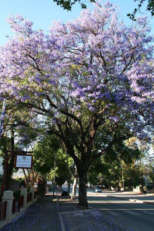 88 Baron Van Reede Guesthouse Oudtshoorn Dış mekan fotoğraf